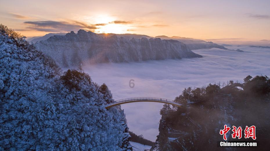 深度交流,尽在广东省考律师证要什么学历